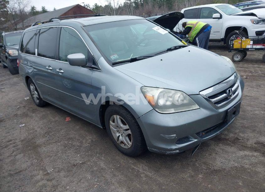 2007 Honda Odyssey EX-L (VIN 5FNRL38617B038017) main photo