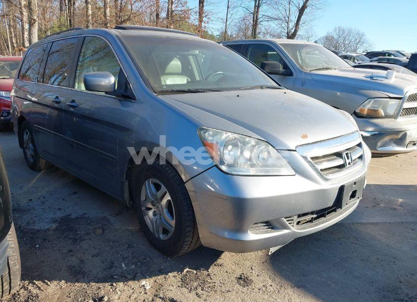 2007 Honda Odyssey EX-L (VIN 5FNRL38617B046246) main photo