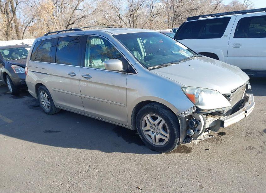 2007 Honda Odyssey EX-L (VIN 5FNRL38617B411282) main photo