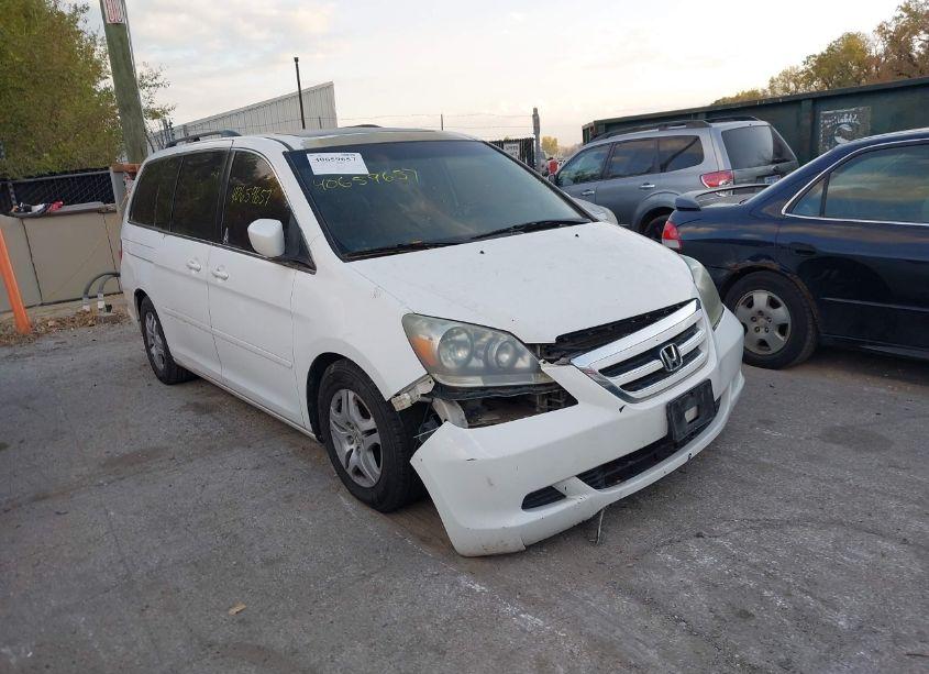 2007 Honda Odyssey EX-L (VIN 5FNRL38617B459767) main photo