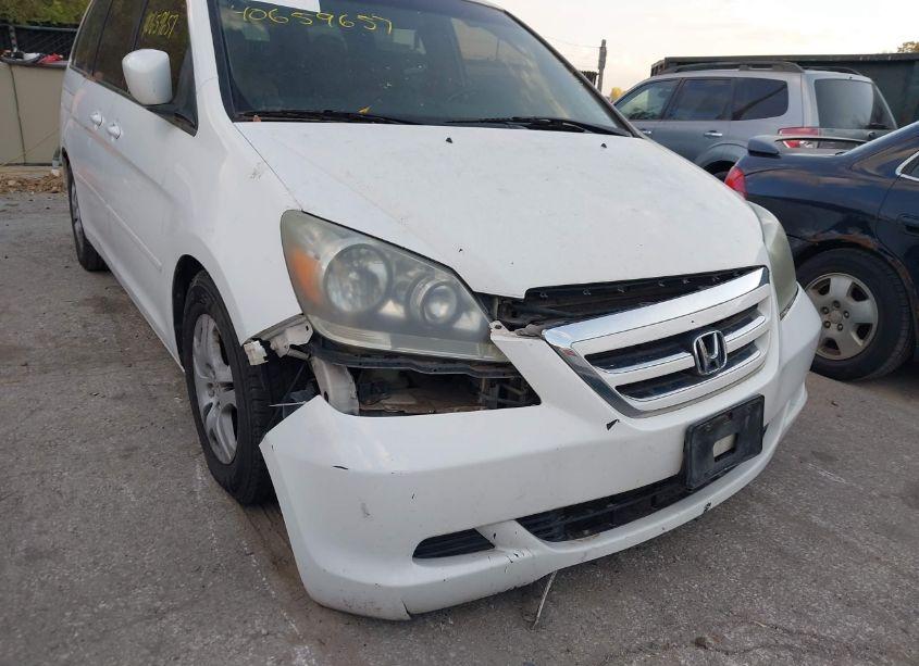 Photo 6 of 2007 Honda Odyssey EX-L (VIN 5FNRL38617B459767)