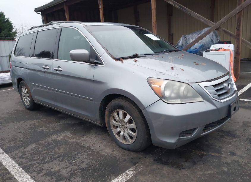 2008 Honda Odyssey EX-L (VIN 5FNRL38618B025866) main photo