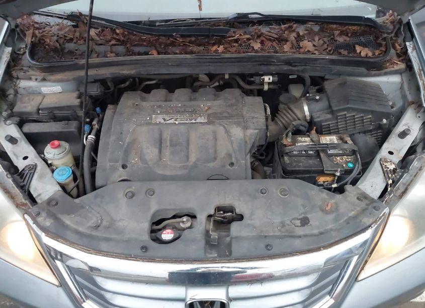 Photo 10 of 2008 Honda Odyssey EX-L (VIN 5FNRL38618B025866)