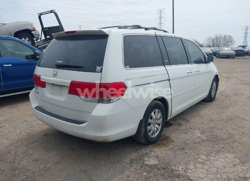 Photo 4 of 2008 Honda Odyssey EX-L (VIN 5FNRL38618B103708)