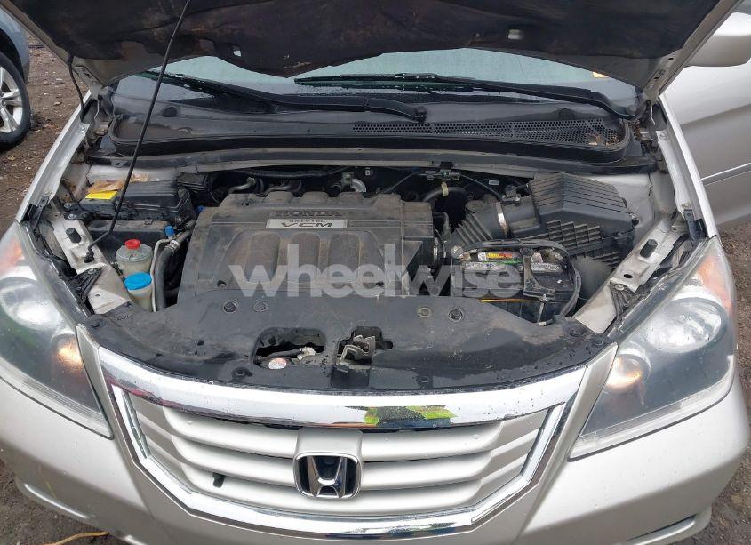 Photo 10 of 2008 Honda Odyssey EX-L (VIN 5FNRL38618B404558)