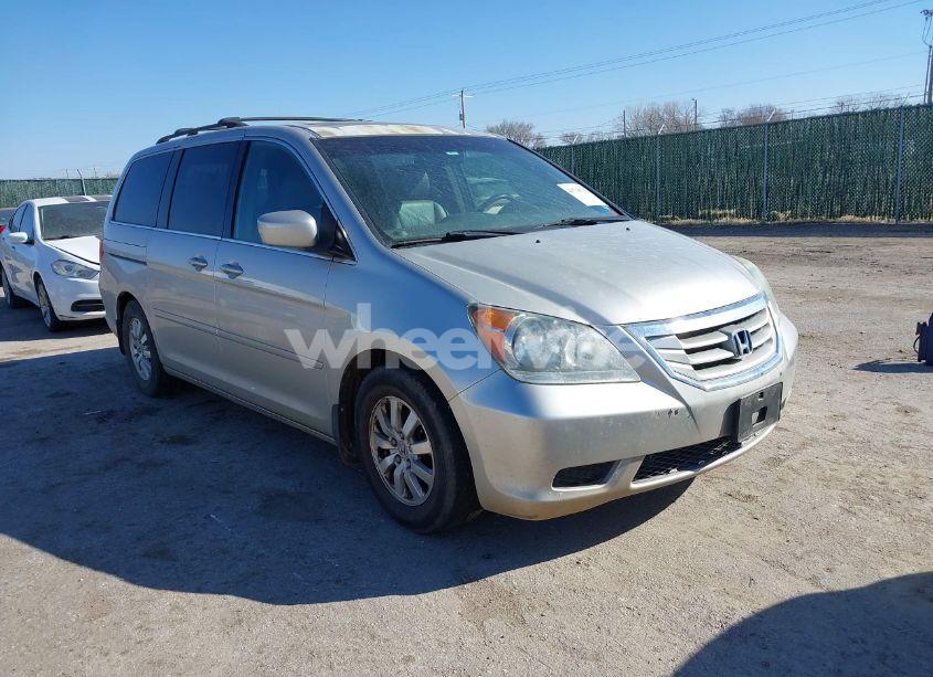 2009 Honda Odyssey EX-L (VIN 5FNRL38619B038800) main photo