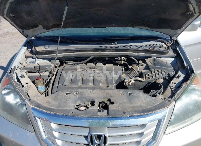 Photo 10 of 2009 Honda Odyssey EX-L (VIN 5FNRL38619B038800)