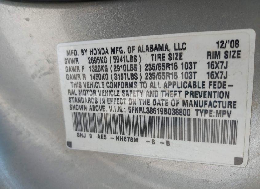 Photo 9 of 2009 Honda Odyssey EX-L (VIN 5FNRL38619B038800)