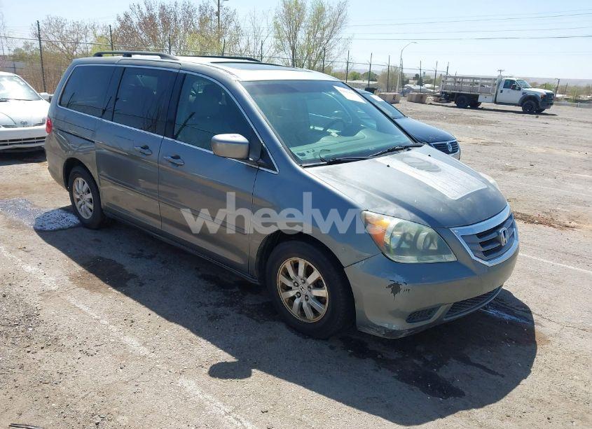 2009 Honda Odyssey EX-L (VIN 5FNRL38619B401970) main photo