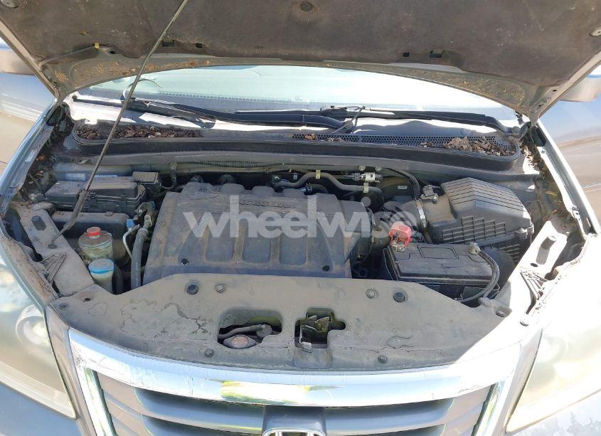 Photo 10 of 2009 Honda Odyssey EX-L (VIN 5FNRL38619B401970)