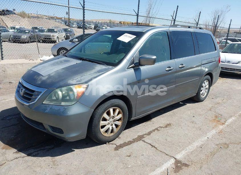 Photo 2 of 2009 Honda Odyssey EX-L (VIN 5FNRL38619B401970)