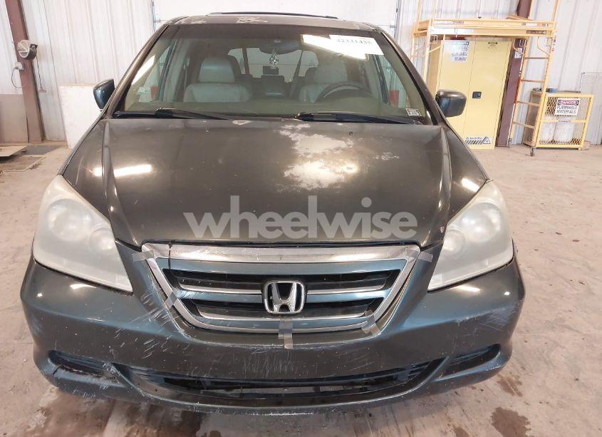 Photo 6 of 2005 Honda Odyssey EX-L (VIN 5FNRL38625B001121)