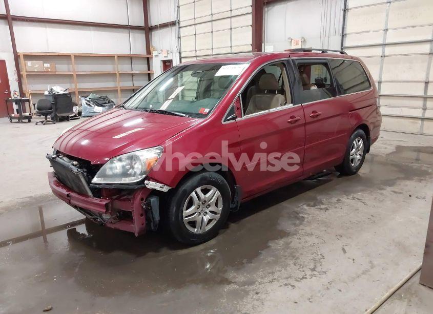 Photo 2 of 2005 Honda Odyssey EX-L (VIN 5FNRL38625B010398)