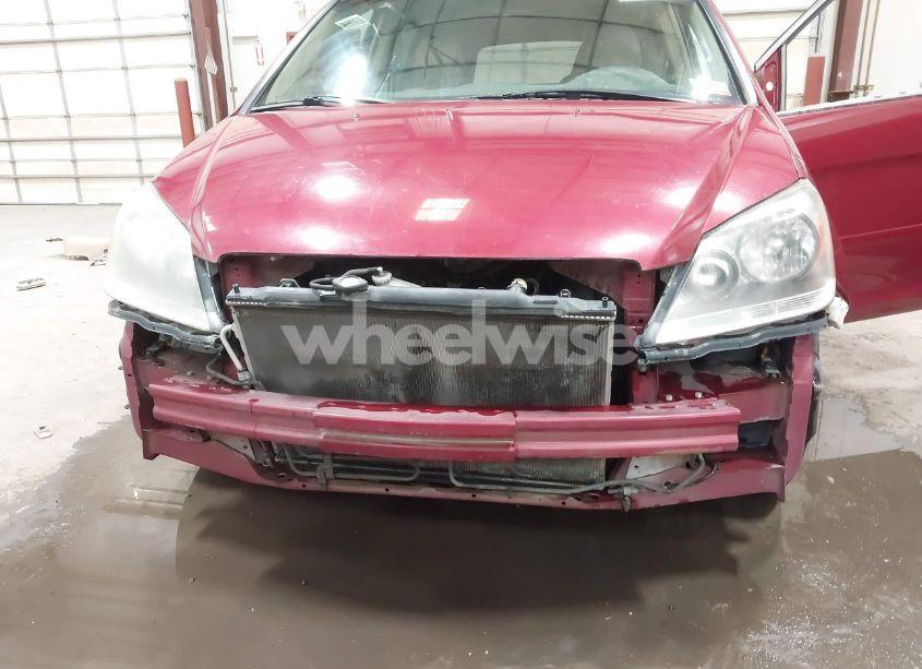 Photo 6 of 2005 Honda Odyssey EX-L (VIN 5FNRL38625B010398)