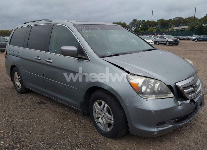2005 Honda Odyssey EX-L (VIN 5FNRL38625B041067) main photo