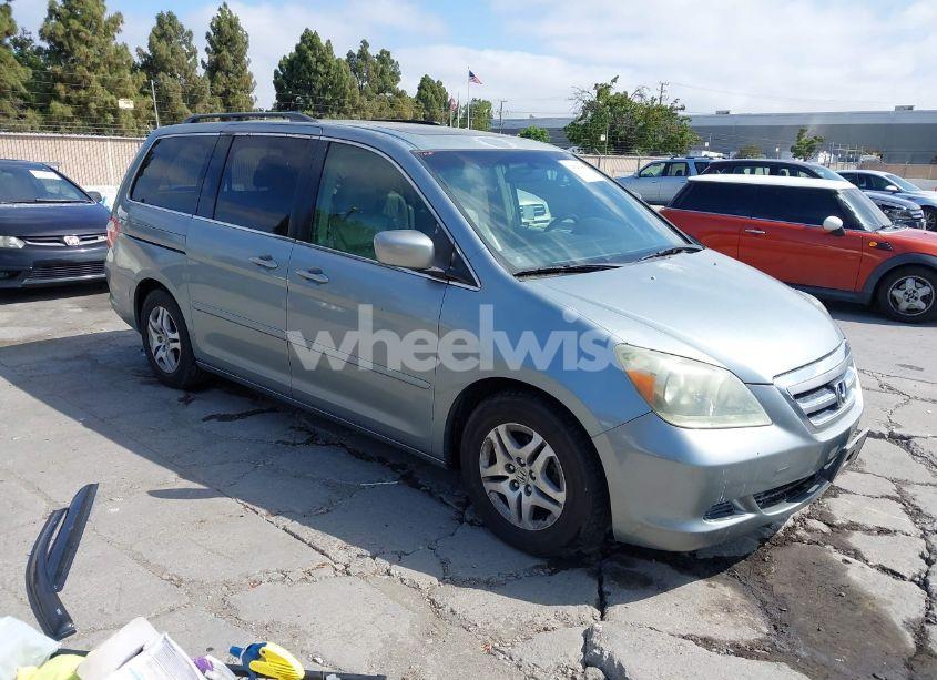 2005 Honda Odyssey EX-L (VIN 5FNRL38625B071315) main photo