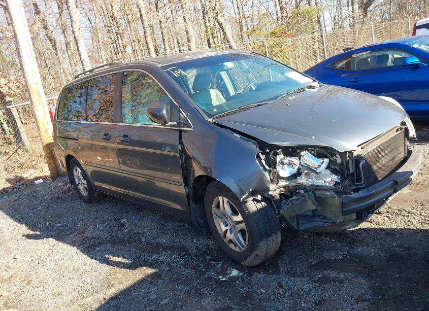 2005 Honda Odyssey EX-L (VIN 5FNRL38625B425124) main photo