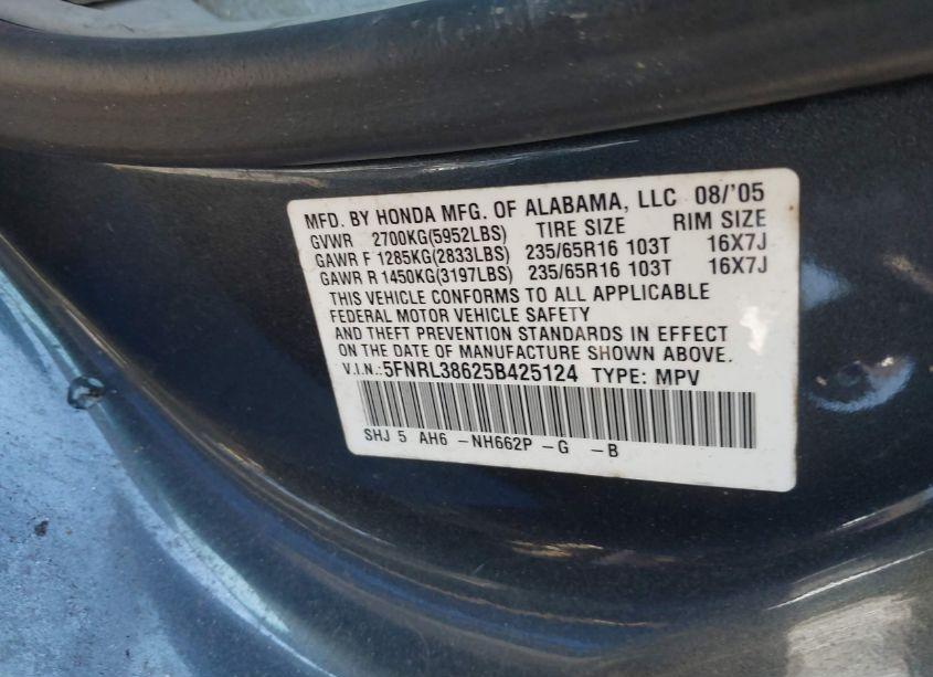 Photo 9 of 2005 Honda Odyssey EX-L (VIN 5FNRL38625B425124)