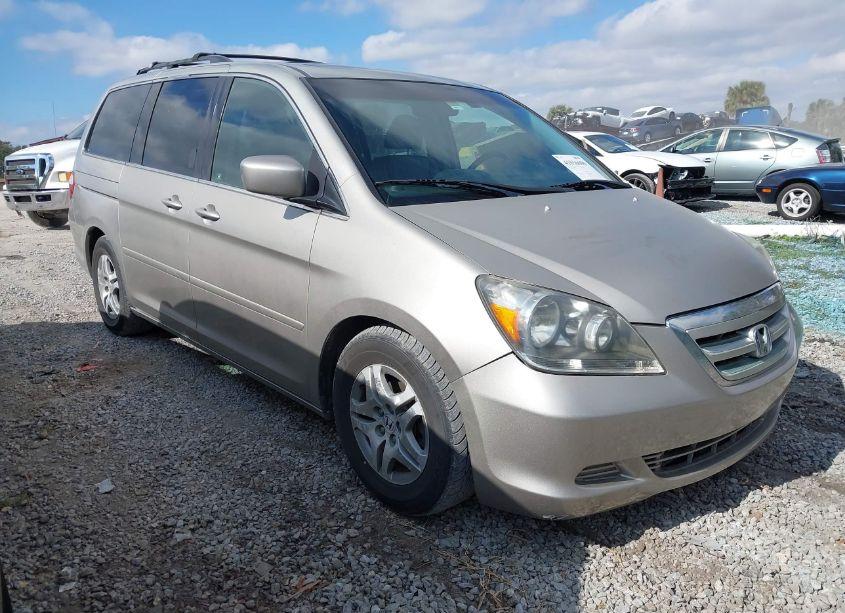 2006 Honda Odyssey EX-L (VIN 5FNRL38626B401195) main photo