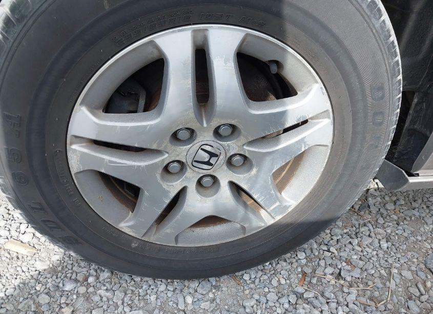 Photo 12 of 2006 Honda Odyssey EX-L (VIN 5FNRL38626B401195)