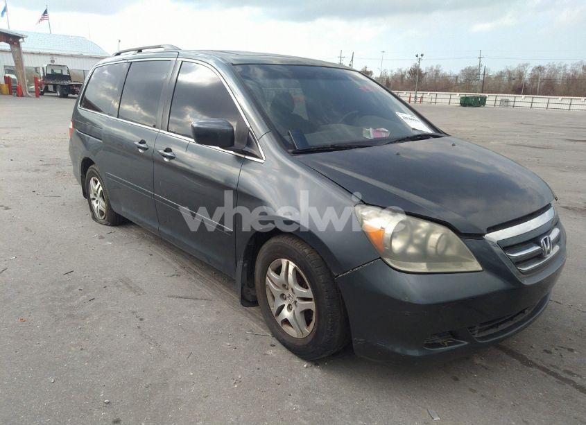 2006 Honda Odyssey EX-L (VIN 5FNRL38626B405344) main photo