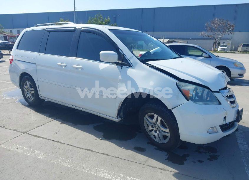 2006 Honda Odyssey EX-L (VIN 5FNRL38626B416523) main photo
