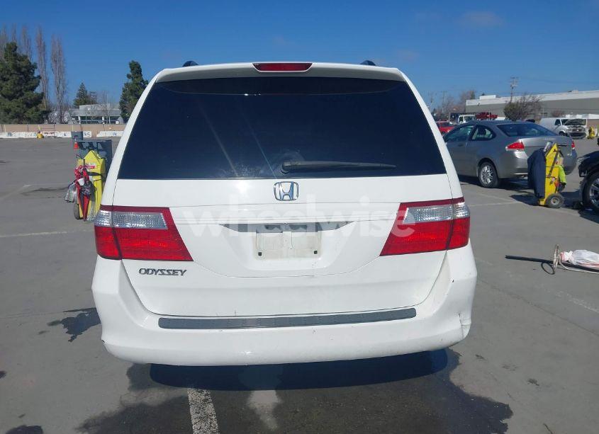 Photo 16 of 2006 Honda Odyssey EX-L (VIN 5FNRL38626B416523)