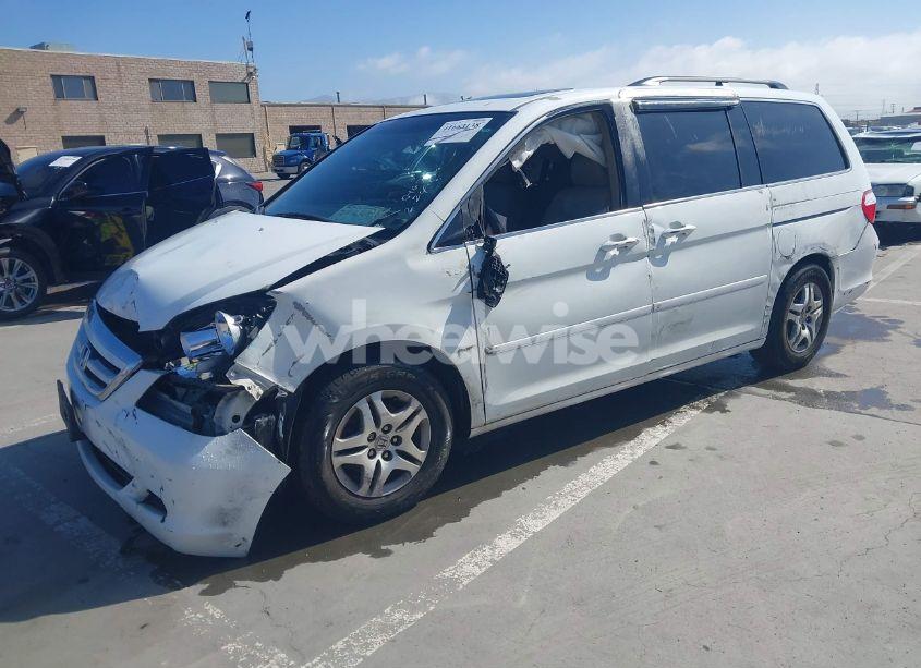 Photo 2 of 2006 Honda Odyssey EX-L (VIN 5FNRL38626B416523)