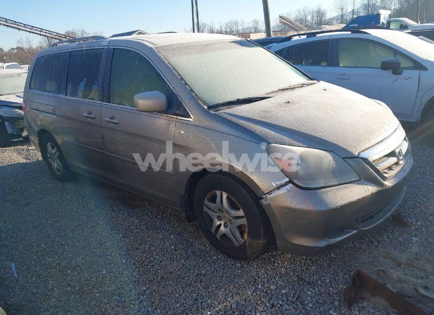 2007 Honda Odyssey EX-L (VIN 5FNRL38627B102940) main photo
