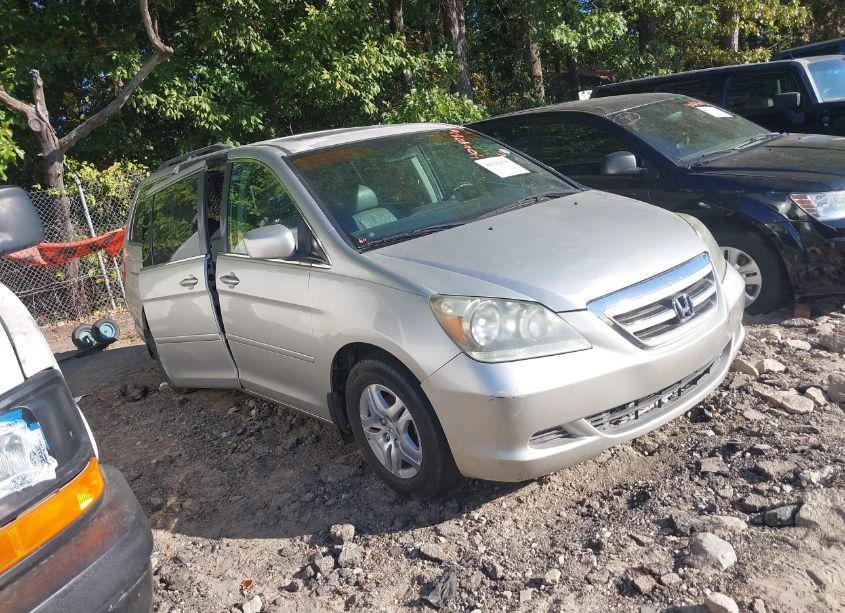 2007 Honda Odyssey EX-L (VIN 5FNRL38627B441486) main photo