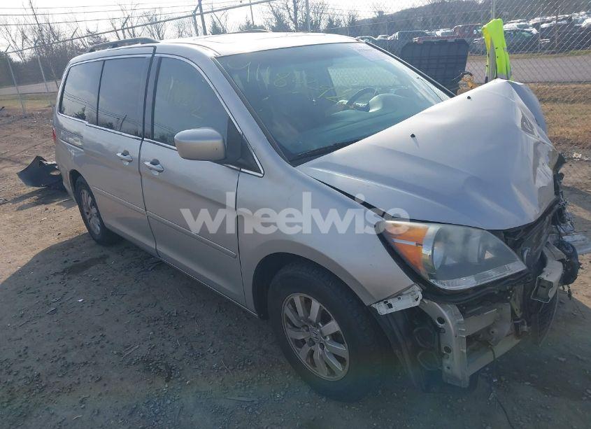 2008 Honda Odyssey EX-L (VIN 5FNRL38628B404925) main photo