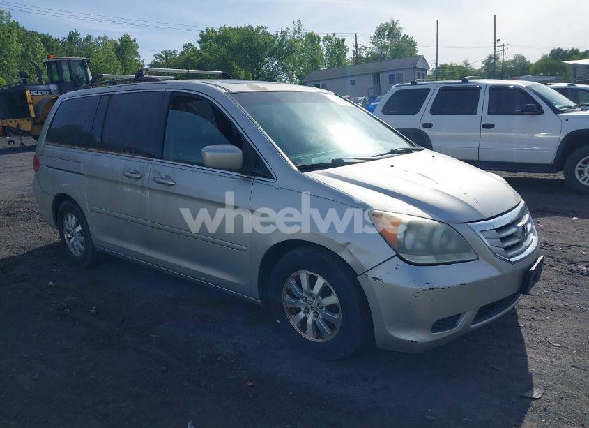 2009 Honda Odyssey EX-L (VIN 5FNRL38629B019446) main photo