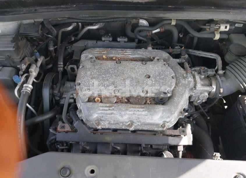 Photo 10 of 2009 Honda Odyssey EX-L (VIN 5FNRL38629B019446)