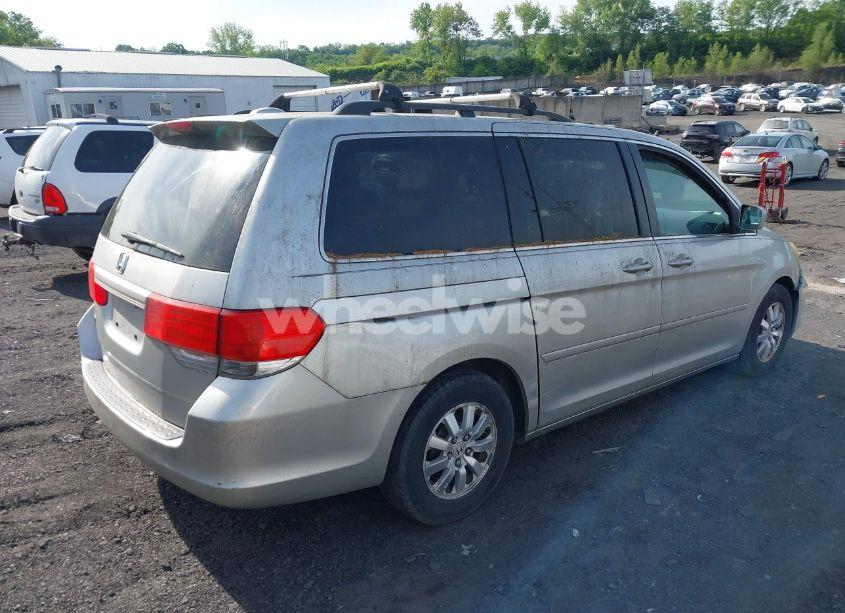 Photo 4 of 2009 Honda Odyssey EX-L (VIN 5FNRL38629B019446)