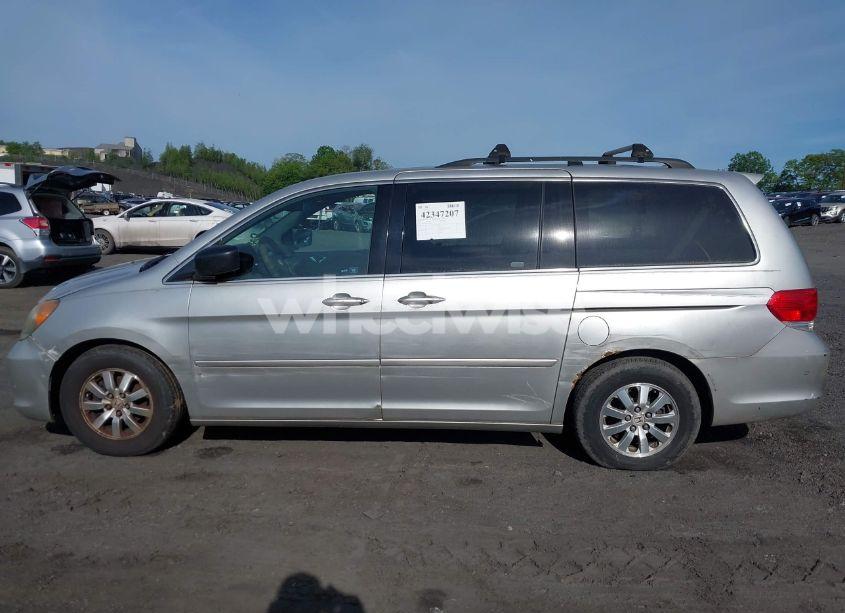 Photo 6 of 2009 Honda Odyssey EX-L (VIN 5FNRL38629B019446)