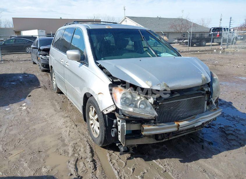 2009 Honda Odyssey EX-L (VIN 5FNRL38629B025750) main photo