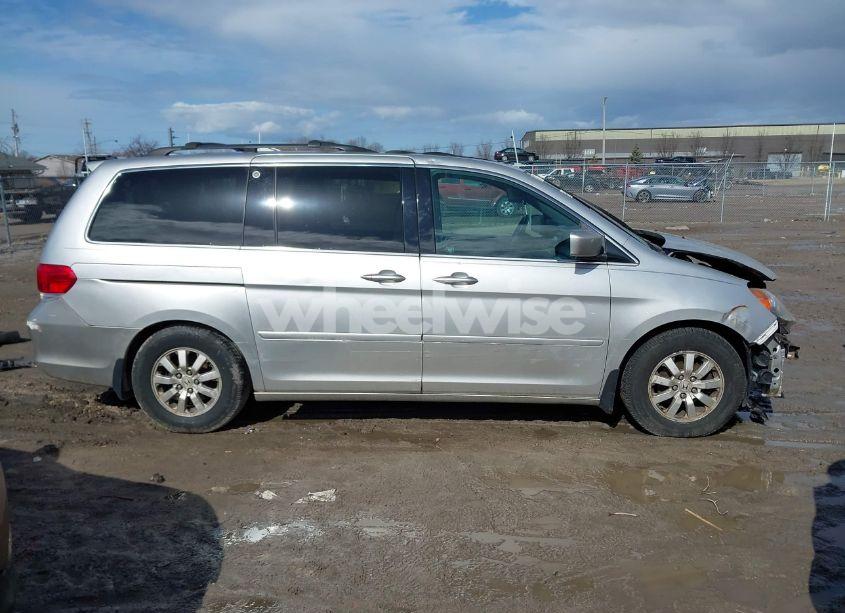 Photo 14 of 2009 Honda Odyssey EX-L (VIN 5FNRL38629B025750)