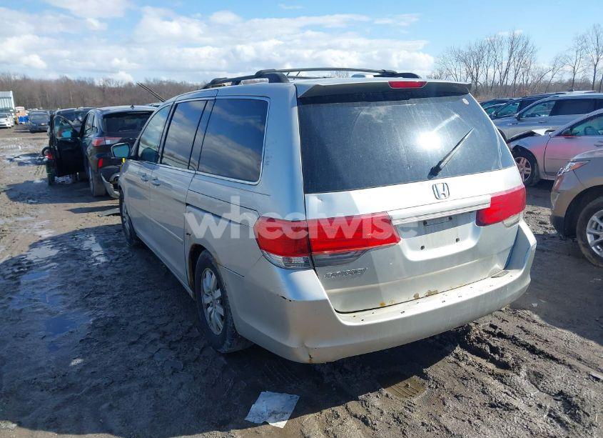 Photo 3 of 2009 Honda Odyssey EX-L (VIN 5FNRL38629B025750)