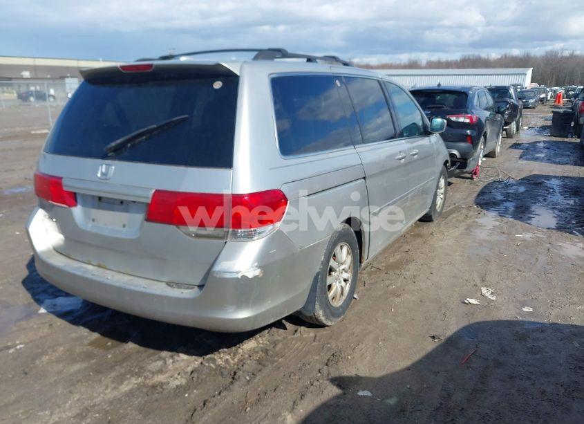 Photo 4 of 2009 Honda Odyssey EX-L (VIN 5FNRL38629B025750)