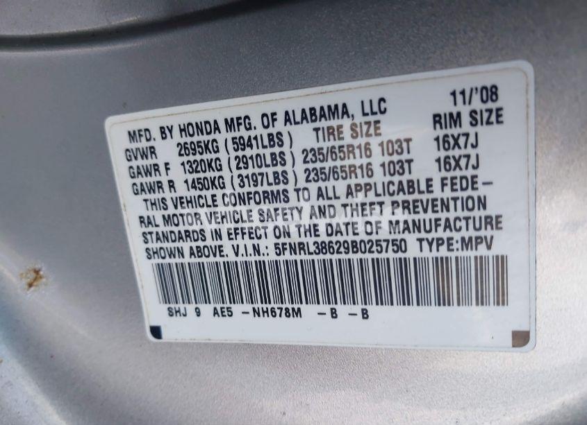Photo 9 of 2009 Honda Odyssey EX-L (VIN 5FNRL38629B025750)