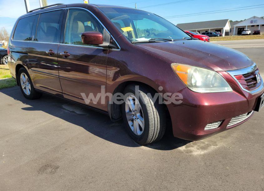 2009 Honda Odyssey (VIN 5FNRL38629B029989) main photo