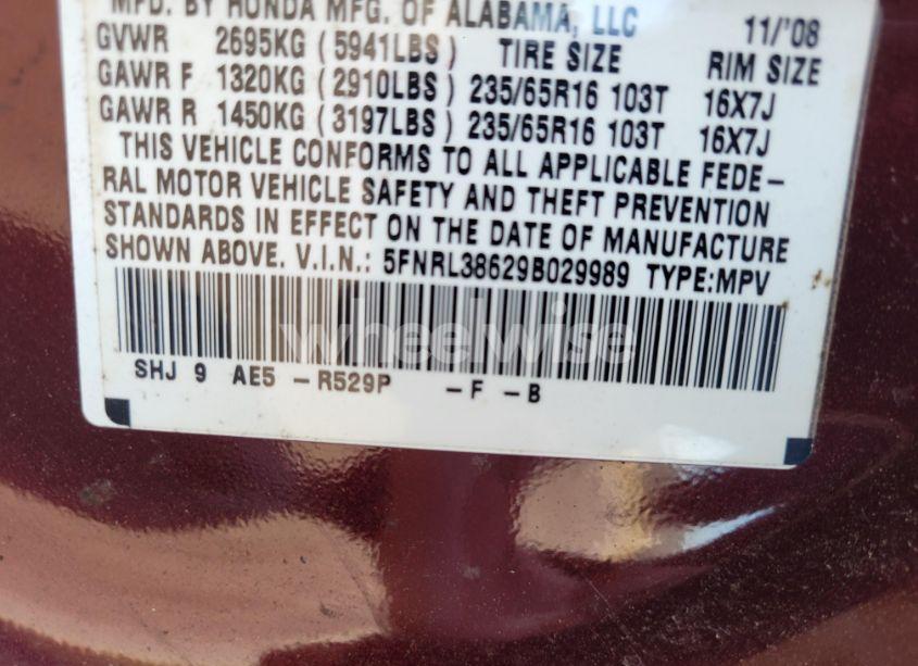 Photo 9 of 2009 Honda Odyssey (VIN 5FNRL38629B029989)