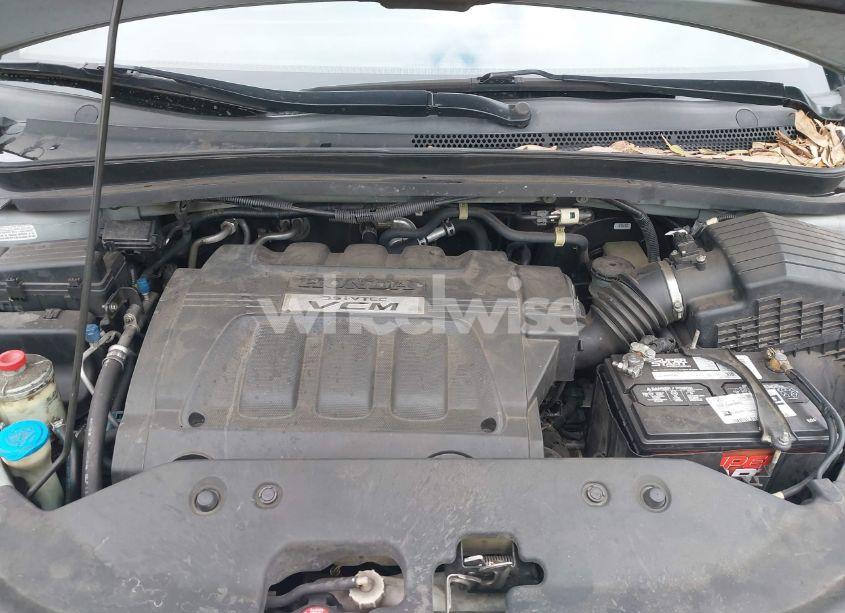 Photo 10 of 2009 Honda Odyssey EX-L (VIN 5FNRL38629B039678)