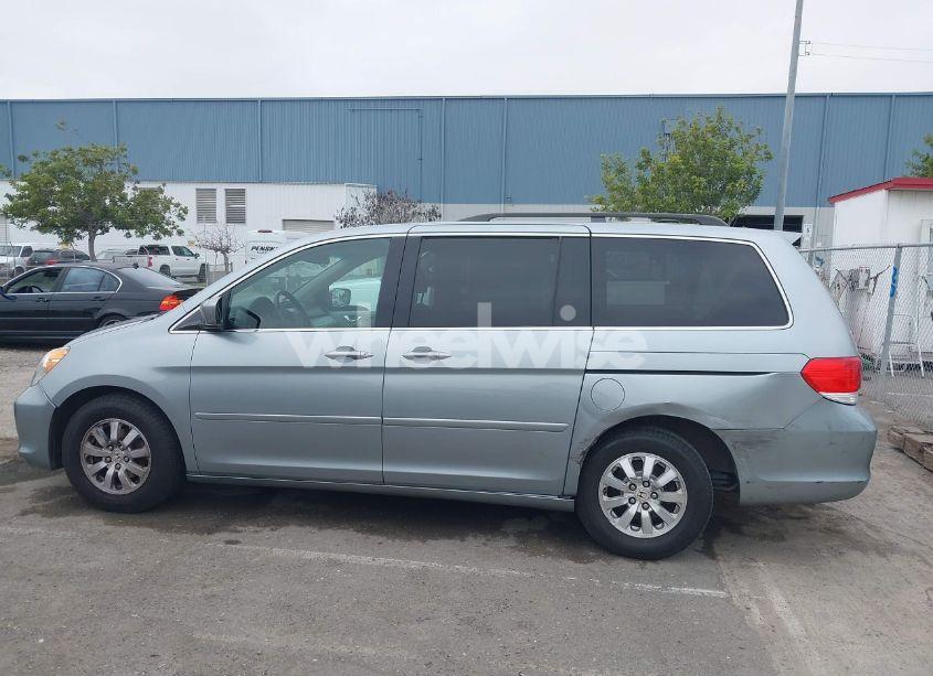 Photo 14 of 2009 Honda Odyssey EX-L (VIN 5FNRL38629B039678)