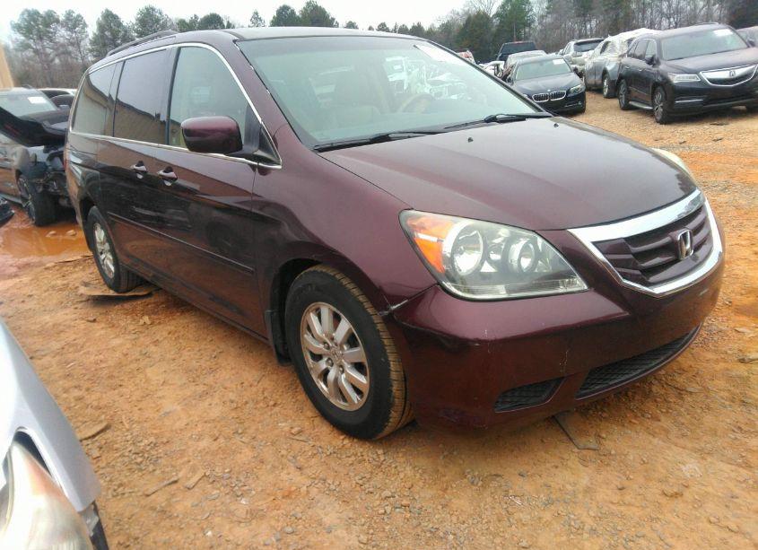 2009 Honda Odyssey EX-L (VIN 5FNRL38629B403582) main photo