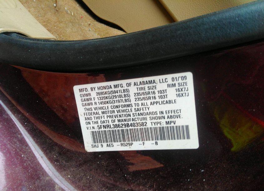 Photo 9 of 2009 Honda Odyssey EX-L (VIN 5FNRL38629B403582)