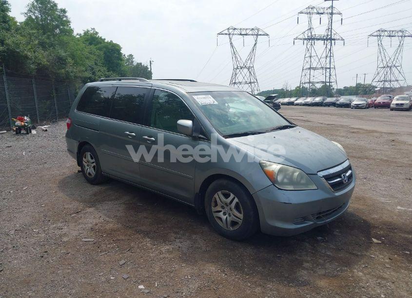 2005 Honda Odyssey EX-L (VIN 5FNRL38635B033446) main photo