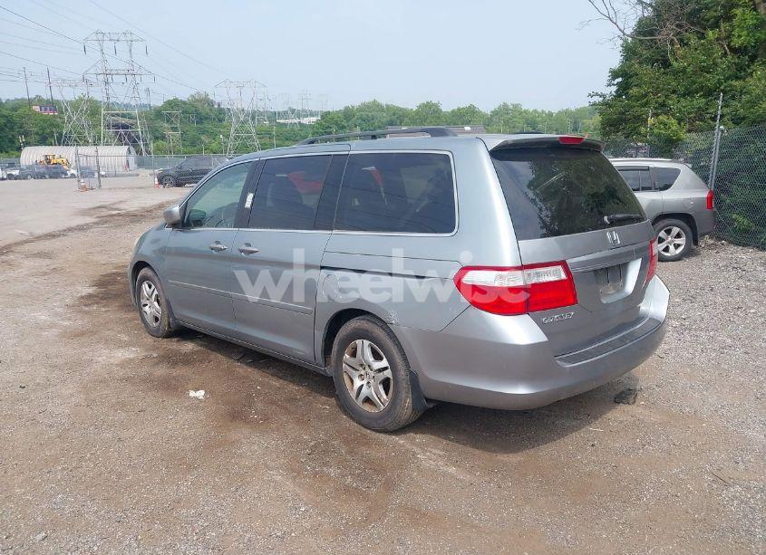 Photo 3 of 2005 Honda Odyssey EX-L (VIN 5FNRL38635B033446)
