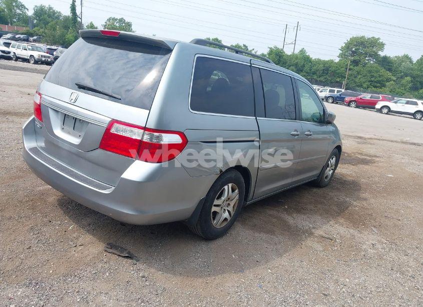 Photo 4 of 2005 Honda Odyssey EX-L (VIN 5FNRL38635B033446)