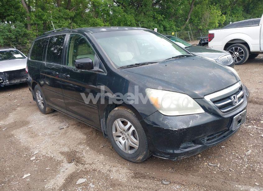 2005 Honda Odyssey EX-L (VIN 5FNRL38635B036265) main photo